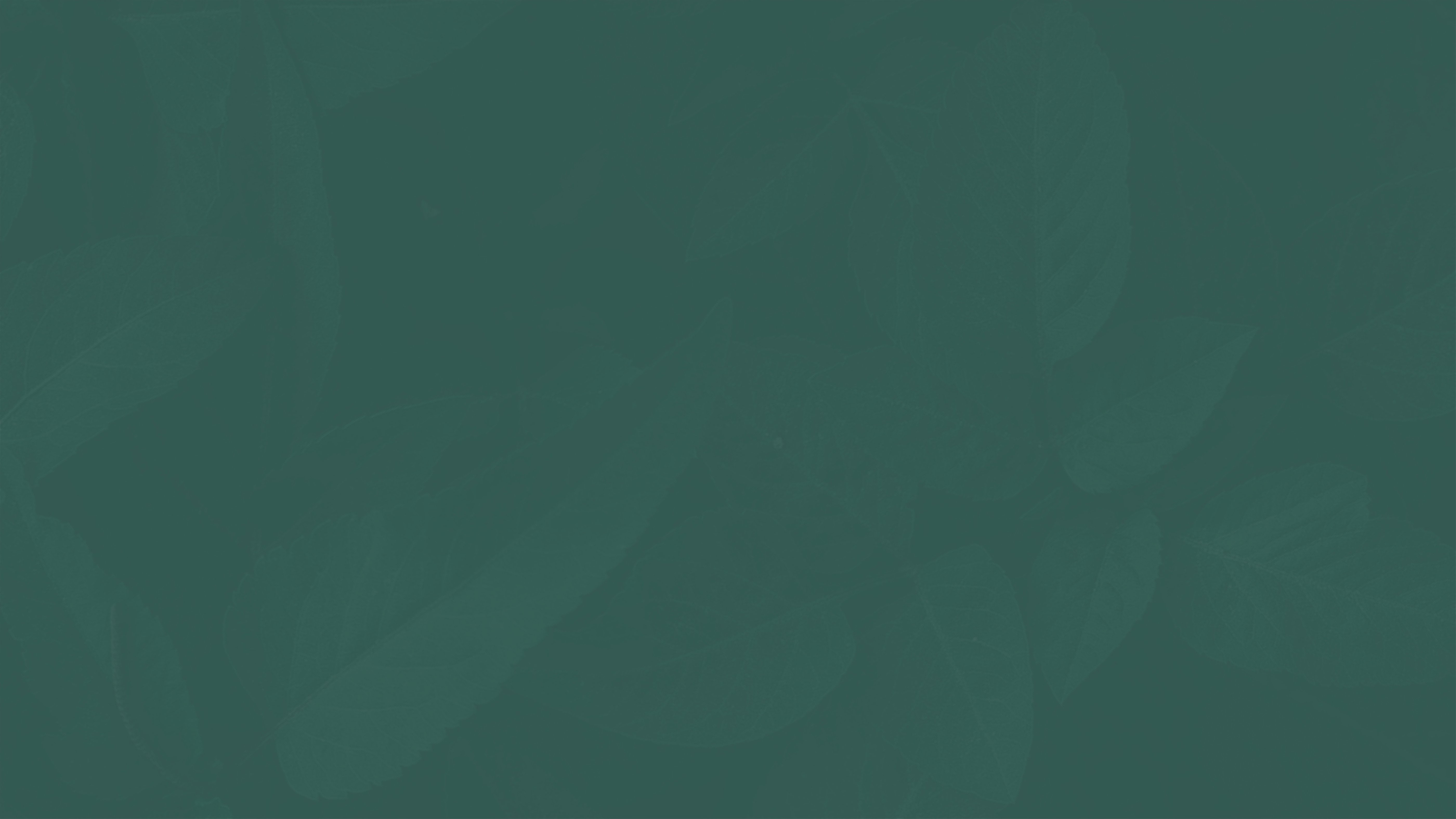 Abstract Sea Green Pastel Texture Background 